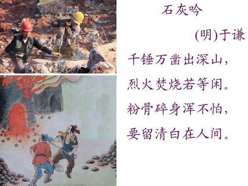 遇见龙果盘版下载